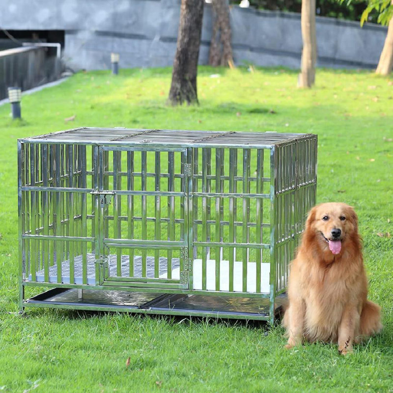 Speedpoly 48 Inch Stainless Steel Dog Crate,Double Door Pet Kennel Dog